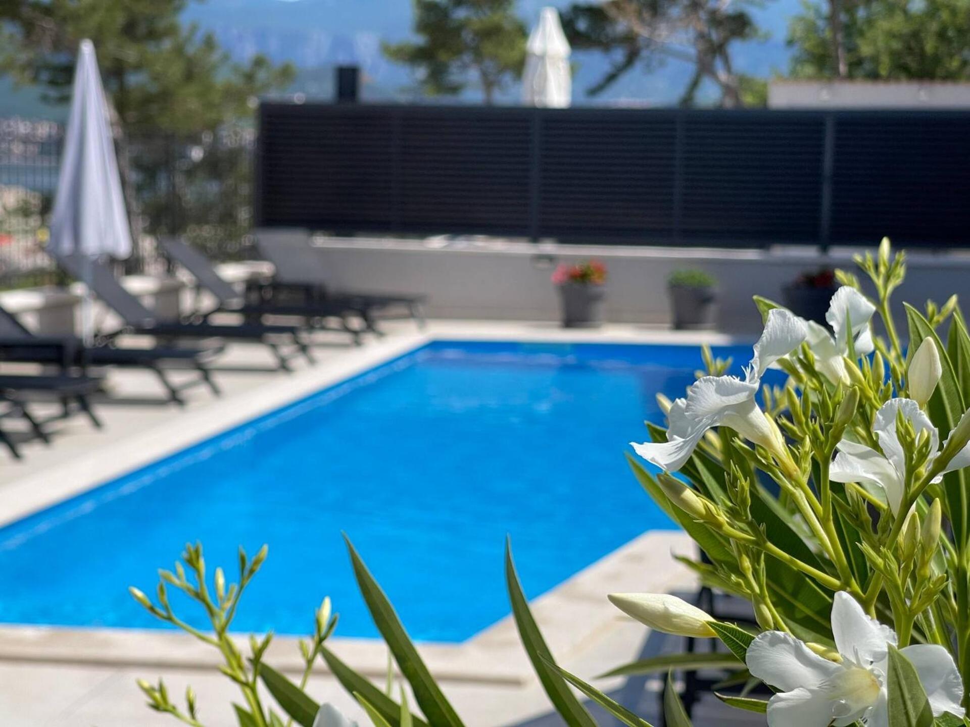 Villas Punta Silo - Luxury Apartments With Pool Exteriör bild